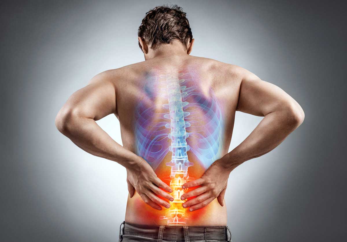 You are currently viewing Lower Back Pain