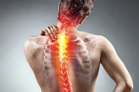 Upper Mid Back Pain